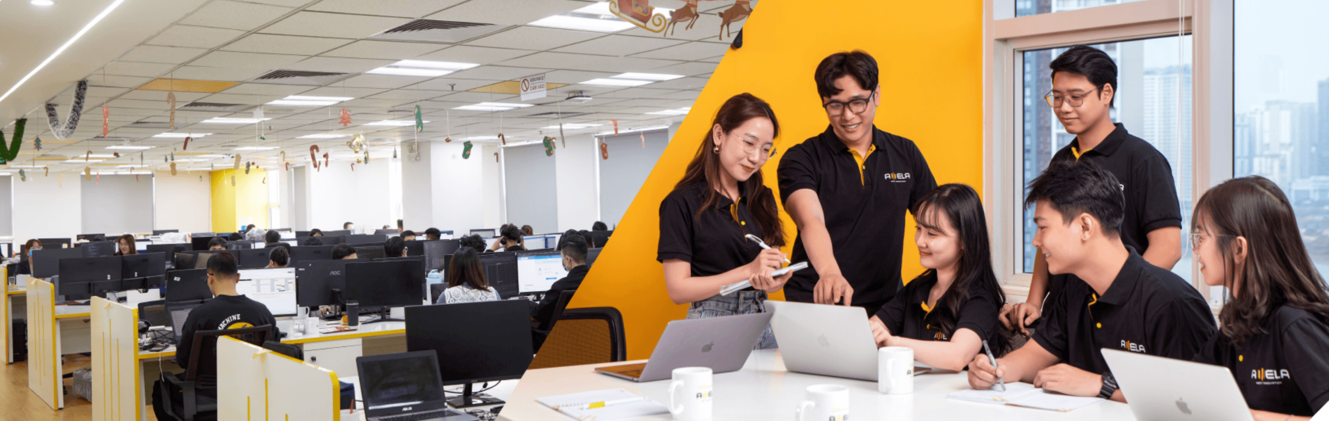 AMELA team collaboration
